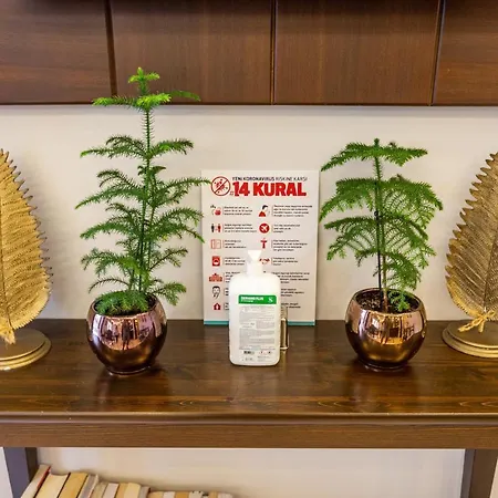 Menar Hotel&suites -old Sultanahmet 3*